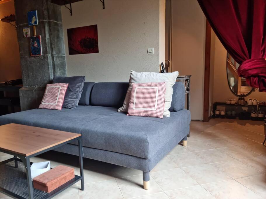 Chateau D'Uriage - Duplex Avec Terrasse Privative Saint-Martin-dʼUriage Eksteriør bilde